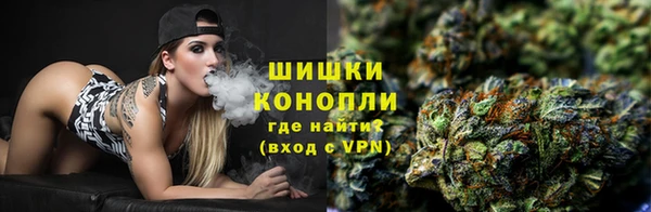 гидра Арсеньев