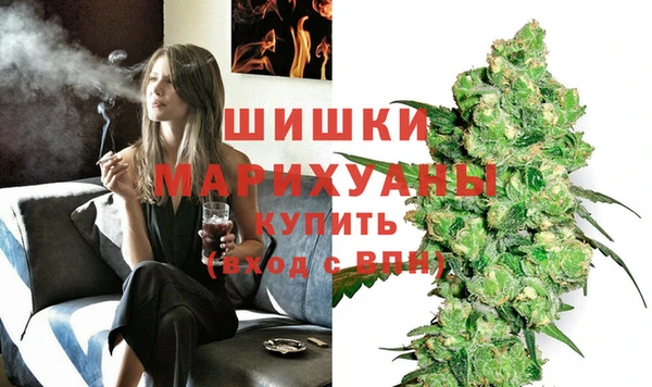 гидра Арсеньев