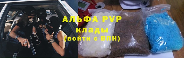 гидра Арсеньев