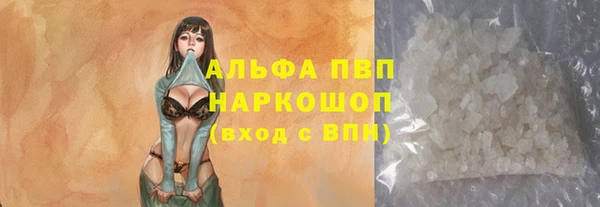 гидра Арсеньев