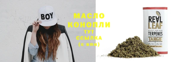 гидра Арсеньев