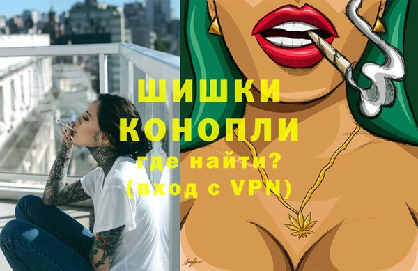 гидра Арсеньев