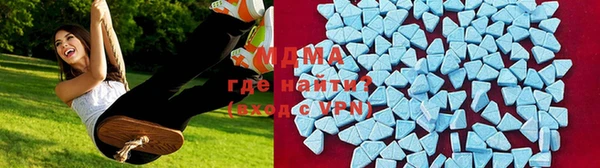 гидра Арсеньев